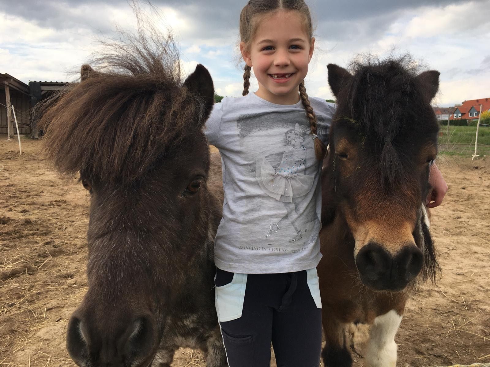 Pony- und Reitlehrgänge